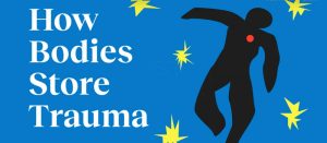 Bessel-Van-Der-Kolk-explains-trauma